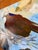 "Dinner's Coming" an Osprey Painting by LWren Walraven For Sale - Image 14 of 18
