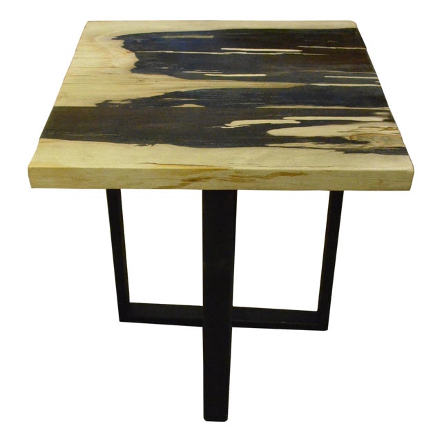 Andrianna Shamaris Petrified Wood Slab Top Side Table For Sale