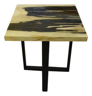 Andrianna Shamaris Petrified Wood Slab Top Side Table
