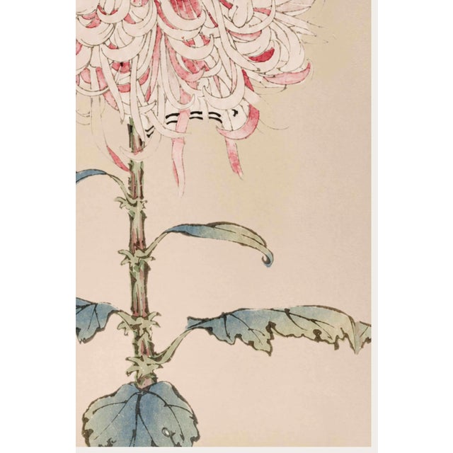 Not Yet Made - Made To Order White Mum by Hasegawa, Vintage Japanese Botanical Art Print, 20" X 30" For Sale - Image 5 of 10