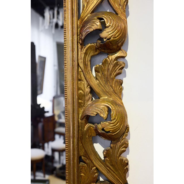 Rococo Large Italian Carved Giltwood Mirror With Shell Pediment and Acanthus Surround, c.1960 For Sale - Image 3 of 12