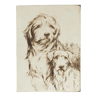 Early 20th Century Sheepdog and Terrier Etching For Sale