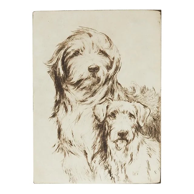 Early 20th Century Sheepdog and Terrier Etching For Sale