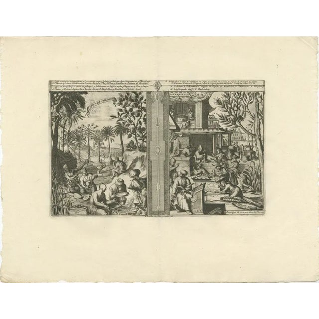Drinks in East India; Lacquerwork and Paper from China. Tea, Cha and Palms / Plants and Trees of the East Indies //...