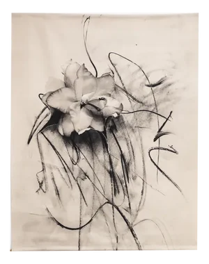 Lily in Charcoal Abstract Expressionism Photography, Limited Edition 3 of 5 2023