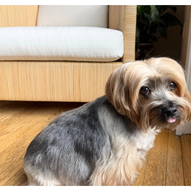 Brown Woven Lounge Chair by Donghia For Sale - Image 8 of 18