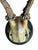 Cabin Roe Deer Trophy 129 Black Forest Antlers For Sale - Image 3 of 5