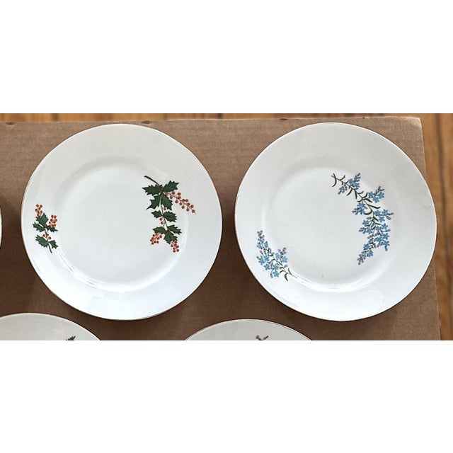 Ceramic Late 19th Century Limoges Cabinet Plate Collection - Set of 8 For Sale - Image 7 of 16