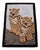 Contemporary Baby Leopard Animal Design Area Rug For Sale