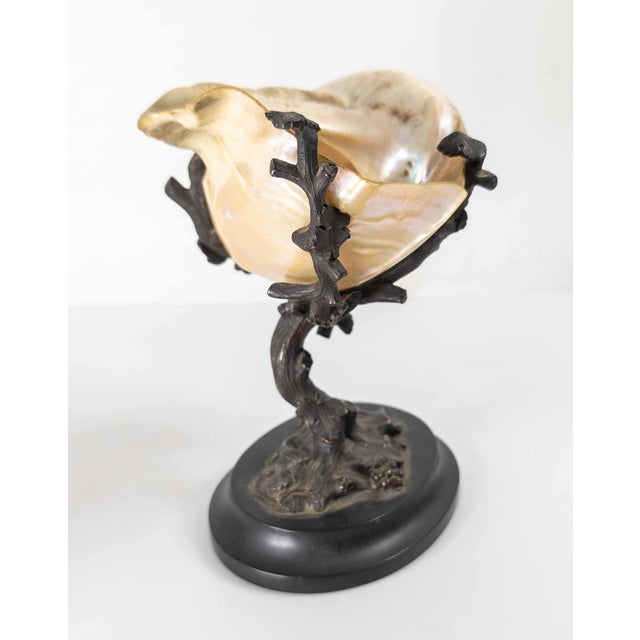 19th Century Continental European French or German Bronze With Turbo Shell, Kunstkammer Object For Sale In New York - Image 6 of 14