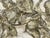 Bas-Relief Artwork of Cherubic Figures C. 1900 For Sale - Image 4 of 11