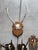 Vintage European Roe Deer Antler Mount Collection — Set of 10 For Sale In San Francisco - Image 6 of 7