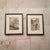 Early 20th Century French Watercolor Art (Set of 7) For Sale - Image 4 of 5