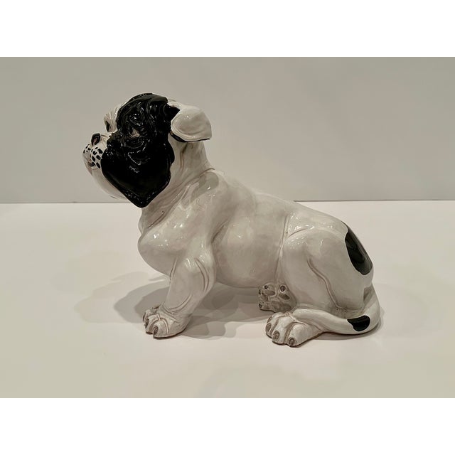 White Terracotta Italian Black and White Bulldog Sculpture For Sale - Image 8 of 12
