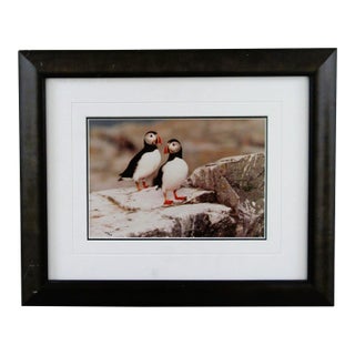 1980s Signed Thomas Mangelsen Puffin Pair Limited Edition 758/950 Matted and Framed For Sale