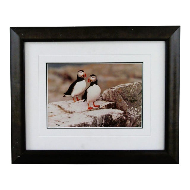 1980s Signed Thomas Mangelsen Puffin Pair Limited Edition 758/950 Matted and Framed For Sale