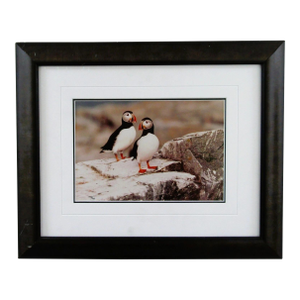 1980s Signed Thomas Mangelsen Puffin Pair Limited Edition 758/950 Matted and Framed