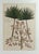Botanical Hand-Colored Engraving of Palmyra Palms, Georg Eberhard Rumphius, 1741-50 For Sale - Image 4 of 13