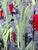 2020s “Dark Garden” Contemporary Original Painting on Paper by CL Auker For Sale - Image 5 of 7