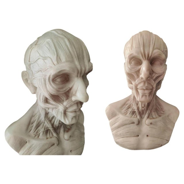 After Houdon, Anatomical Bust, Carrara Marble For Sale - Image 12 of 12
