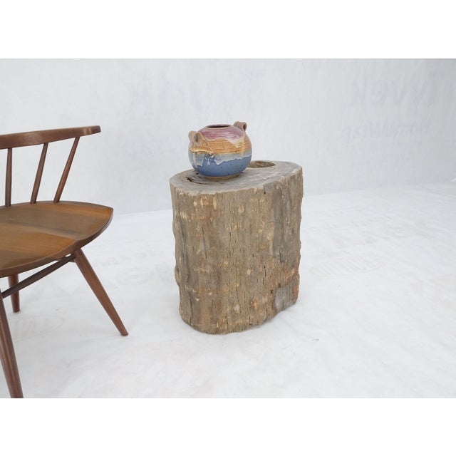 Large Beige Petrified Wood Organic Stomp Shape Stand End Side Table Pedestal For Sale - Image 11 of 11