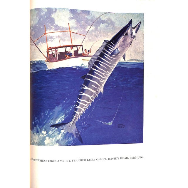 White "Atlantic Game Fishing" Book 1937 Farrington, S. Kip, Jr. For Sale - Image 8 of 12