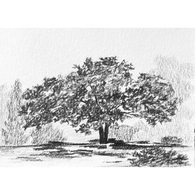 "Print Collection: Landscape Study" Contemporary Original Black and ...