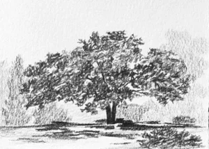 "Print Collection: Landscape Study" Contemporary Original Black and White Landscape Print on Paper