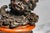 Traditional Classic Antique Bronze Cherub Bust Sculpture on Wood Pedestal Edwardian Putti Figure For Sale - Image 3 of 11