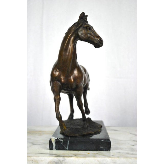 20th Century Bronze Horse on a Marble Base For Sale - Image 4 of 5
