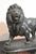 French Late 19th Century French Bronze Sculpture of a Lion by Paul Édouard Delabrierre For Sale - Image 3 of 17