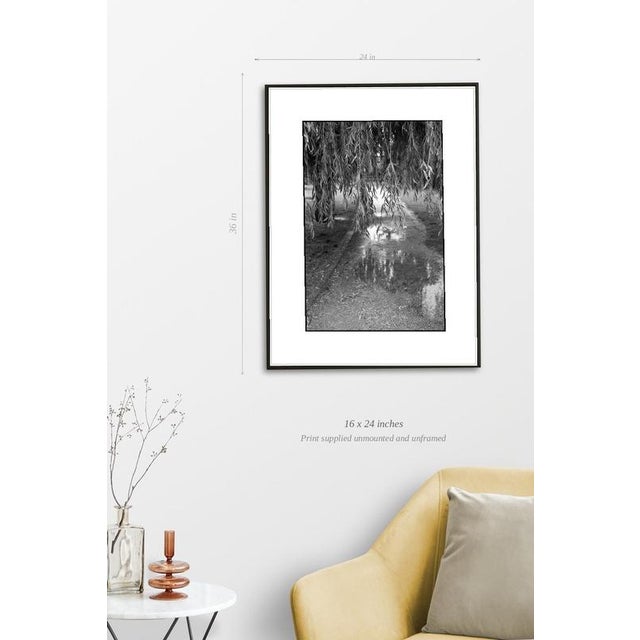 Fine art Giclee prints on Hahnemuhle Photo Rag 308gsm - a 100% cotton, acid-free, mould-made paper. Printed to Fine Art...