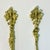 1940s Vintage Italian Baroque Rocco Brass Serving Utensils, Meat Fork and Spoon - Set of 2 For Sale - Image 10 of 12