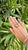 2020s Set in 18k Rose Gold, Morganite, Black Enamel & Diamonds Engagement Ring, Us Size 6 For Sale - Image 5 of 10