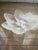 Coastal Vintage Glass Mussels Serving Platter For Sale - Image 3 of 8