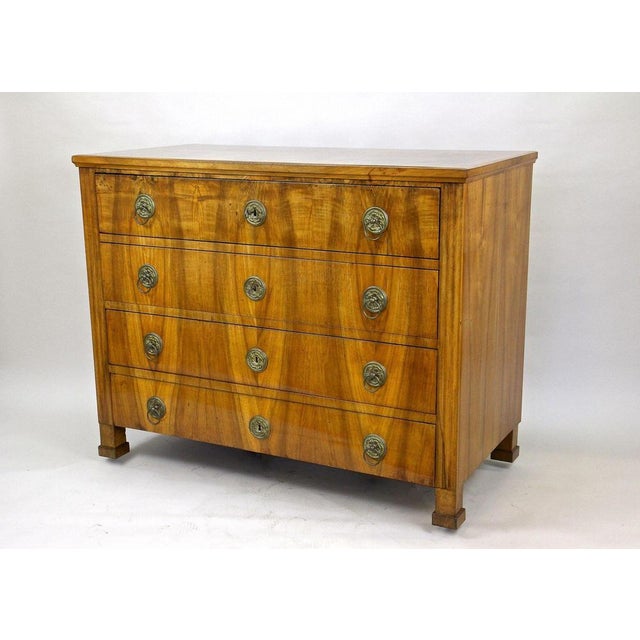 Antique Biedermeier Chest of Drawers, Austria, 1830 For Sale - Image 14 of 18