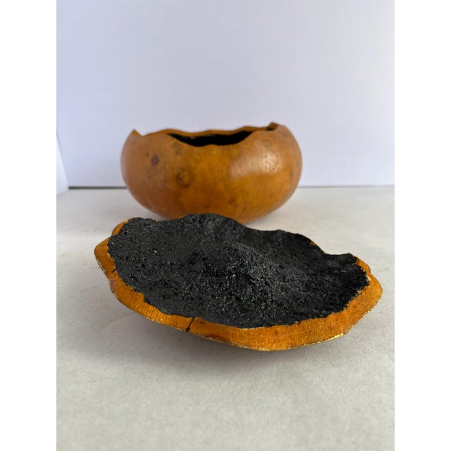 Pumpkin Embellished Natural Gourd Box For Sale - Image 8 of 10