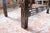Wood Pair of Georgian Period Chinese Chippendale Fretwork Legged Benches For Sale - Image 7 of 14
