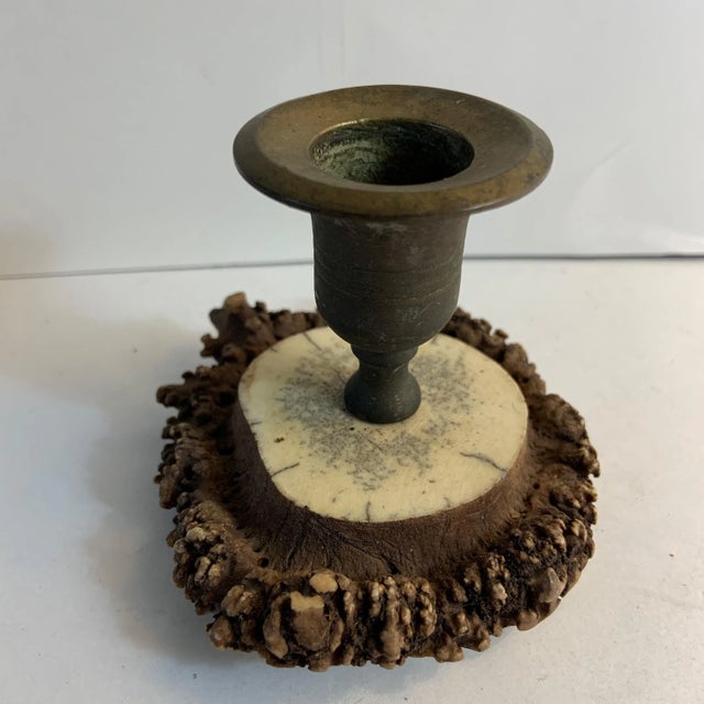 Antique 1910s Horn Antler Candleholder For Sale In New York - Image 6 of 6