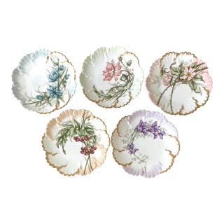 Antique Limoges Porcelain Floral Plates - Set of 5 For Sale