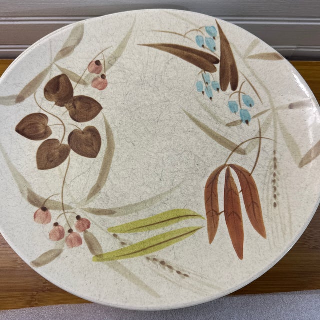 Beige 1950s Mid-Century Modern Red Wing Random Harvest Plates - Set of 11 For Sale - Image 8 of 12
