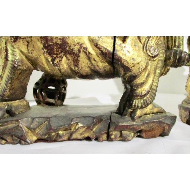 Gold Chinese Gilt Foo Dogs Candle Stands 19th Century - A Pair of 2 For Sale - Image 8 of 12