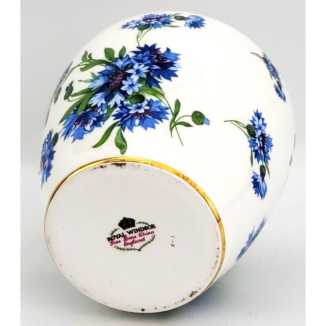 Ginger Jar Royal Windsor For Sale - Image 11 of 11