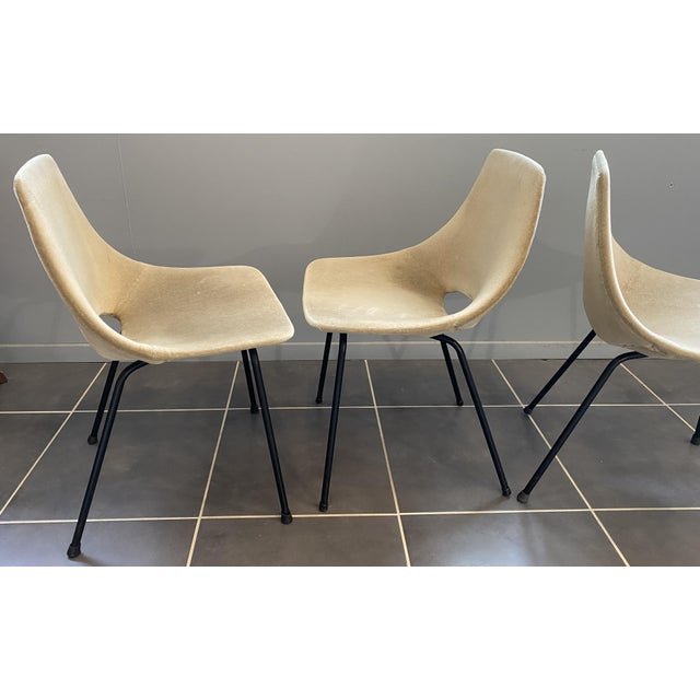 1950s Vintage Barrel Chair by Pierre Guariche Steiner, 1950s For Sale - Image 5 of 18