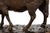 Authentic Lifetime Bronze Sculpture of “Grazing Ewe” by Rosa Bonheur Ca. 1860s For Sale - Image 9 of 18