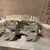 Surrealist Paper Mache Armadillo Sculpture Sergio Bustamante For Sale - Image 18 of 18