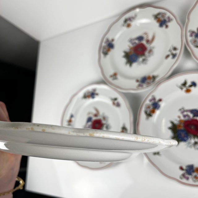 Vintage Agreste Dinner Plates from Sarreguemines, 1980s, Set of 6 For Sale - Image 10 of 14