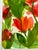 2020s Original Watercolor Painting “Red Tissue Poppies” For Sale - Image 5 of 8