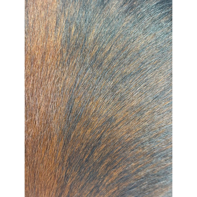 Reversible 18” X 18” Premium Brazilian Watusi Cowhide Pillow Cover – Sculptural Spine Composition - Handcrafted by Pablo Sota Designs. For Sale - Image 9 of 10