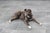 Metal Bumling Floor Lamp by Anders Pehrson for Atelje Lyktan, 1960s For Sale - Image 7 of 14